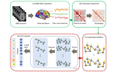 Az idegsejtek suttogásának meglesése IV: Hogyan értelmezzük amit mértünk?