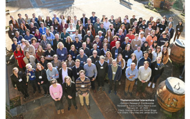 Thalamus Gordon 2026