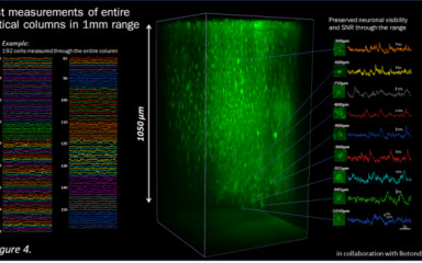 Fast 3D imaging in behaving mice