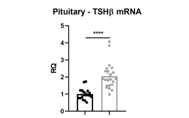 Gene expression analysis using TaqMan quantitative PCR