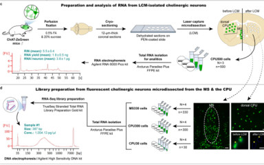 A methodological article in the JBC