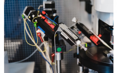 Elektrofiziológiai mérések akut agyszelet preparátumokon