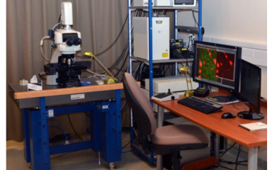 Nikon Ni C2 Confocal Microscope