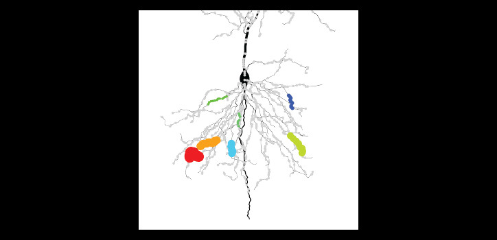 Dendrites diakép