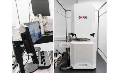 Scanning Electron Microscope