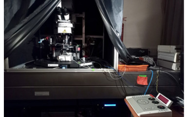 Nikon Fn1 A1R Multiphoton Mikroszkóp
