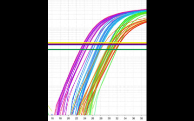 Gene expression analysis