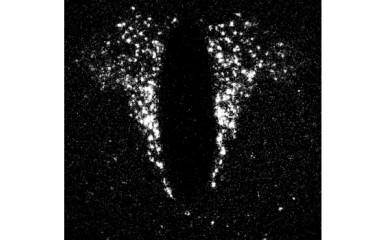 Izotópos és fluoreszcens in situ hibridizáció