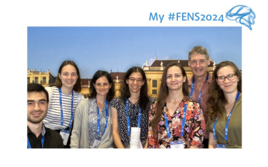 The Hájos Lab at the FENS 2024 conference in Vienna
