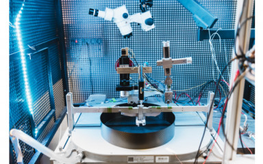 Electrophysiological recordings in the whole brain
