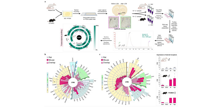 Miért jó, ha megismerjük a transzkriptomot? Egy módszer fontosságáról és az elért eredmény hasznáról diakép