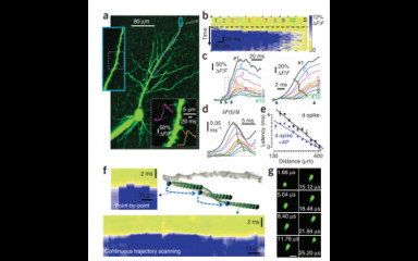 3D two-photon imaging