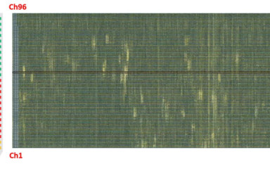 The new NeuroPixels experiments were just began
